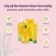 Lily of the Desert Aloe Vera Gelly Soothing Moisturizer, 8 oz