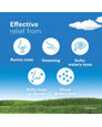 Claritin 24-Hour Allergy Relief Tablets 10mg - 85 Count